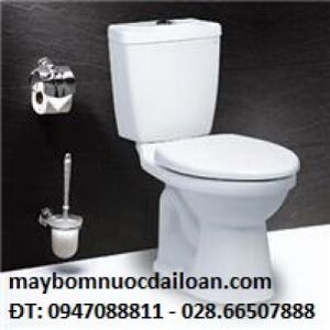 Bồn cầu Caesar CT1325 (CT-1325) - 2 khối