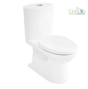 Bàn cầu 2 khối xả nhấn American Standard VF-2719