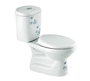 Bàn cầu 2 khối xả nhấn Dolacera DL234