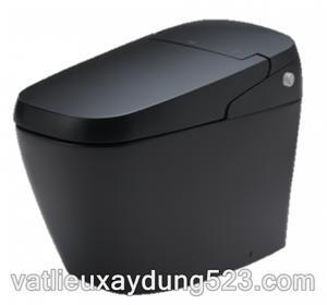 Bàn cầu cảm ứng Inax AC-G216VN/BKG