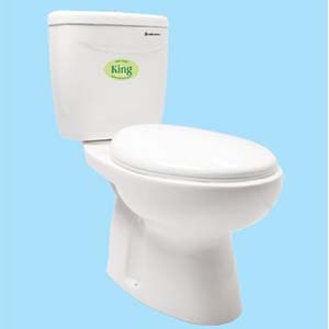 Bàn cầu cao Thiên Thanh King B4829TS2T