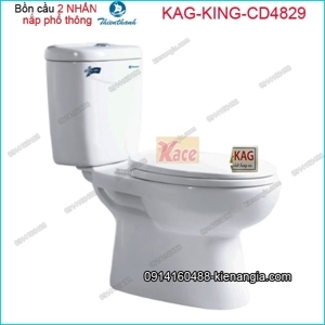 Bàn cầu cao Thiên Thanh King B4829TS2T