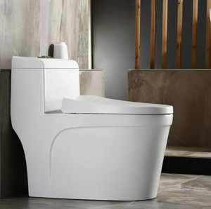 Bàn Cầu Forlard Đen T02