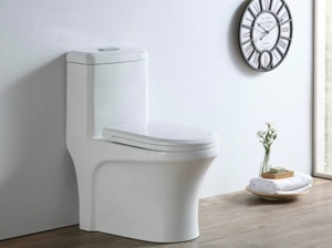 Bàn Cầu Forlard T05