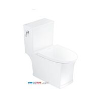 Bàn cầu hai khối American VF-2781