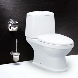 Bàn cầu hai khối nắp êm Caesar CD1530