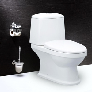 Bàn cầu hai khối nắp êm Caesar CD1530