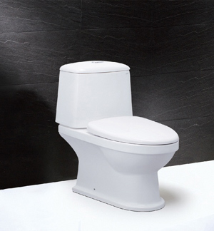 Bàn cầu hai khối nắp êm Caesar CD1530