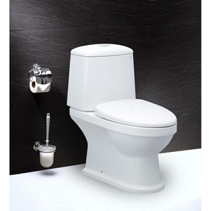 Bàn cầu hai khối nắp êm Caesar CD1530