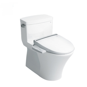 Bàn cầu Inax AC-991R + CW-KB22AVN