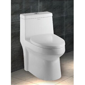 Bàn cầu Kangaroo 1 khối KG6100