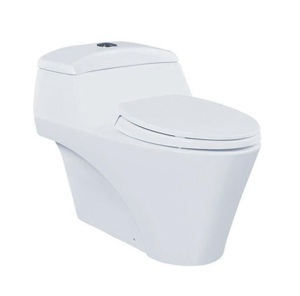 Bồn cầu ToTo CW823W/F - 1 khối