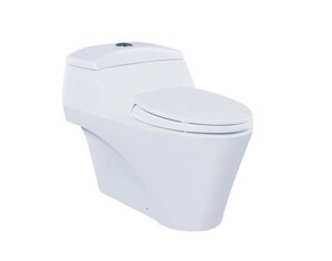 Bồn cầu ToTo CW823W/F - 1 khối