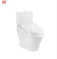 Bàn cầu TOTO, kèm nắp rửa điện tử WASHLET CS948CDW16 ( Thân dài, dành cho bàn cầu giấu dây)