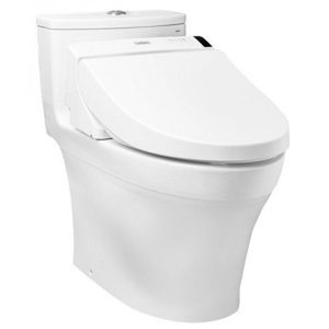 Bàn cầu Toto MS885DW6