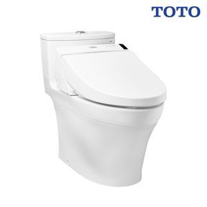 Bàn cầu Toto MS885DW6
