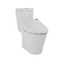 Bàn Cầu Toto Washlet CS819DSW6