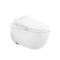 BÀN CẦU TREO TƯỜNG TOTO, KÈM NẮP RỬA WASHLET:  CW812REA_TCF23460AAA_WH172AT_TCA465_MB174P