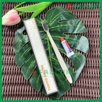 Bàn Chải Đánh Răng, Bàn Chải Dùng 1 Lần Lúa Mạch Trong Nhà Nghỉ, Khách Sạn, Resrot Đóng Hộp Kraft