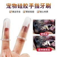 Bàn chải đánh răng cho chó và mèo, dụng cụ làm sạch răng đặc biệt, bàn chải đánh răng cho chó Chihuahua và chó con với bao bọc ngón tay