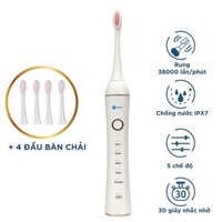 Bàn Chải Đánh Răng Điện sóng âm Kachi Sonic MK309 - MK309 trắng