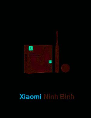 Bàn chải điện Oclean Endurance