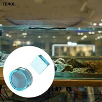 Bàn chải loại bỏ vết bẩn đa năng Mini Bàn chải làm sạch kính bể cá