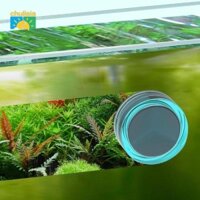 Bàn chải loại bỏ vết bẩn đa năng Mini Bàn chải làm sạch kính bể cá