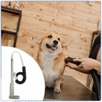 Bàn chải lông thú cưng Máy sấy tóc Chân đế Dụng cụ làm đẹp Đa năng Thép không gỉ chắc chắn Chuyên nghiệp Hộ gia đình Xoay rảnh tay