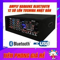 BÁN CHẠY--Amply 12 sò Nhật, Ampli Bluetooth karaoke nghe nhạc gia đình CALY.D&Y PRO-979