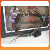 [BÁN CHẠY] Cây hoa Tử đằng Nhật Bảo tím leo, VÒNG HOA SIÊU ĐẸP