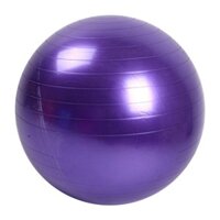 [Bán Chạy] Lõi Bóng Tập Thể Dục Cân Bằng Kích Thước 45Cm Tập GYM Lớp Yoga Gymball PVC