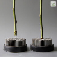 BÀN CHÔNG CẮM HOA 2025