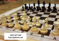 Bàn Cờ Vua Gỗ Thông, Quân Nhựa Mica