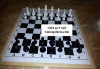 Bàn Cờ Vua Gỗ Thông Và Quân Nhựa Mica