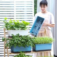 Ban công dày bền Hollen chậu trong nhà chậu trồng rau hình chữ nhật lớn chậu trồng rau ban công chậu trồng rau đơn giản