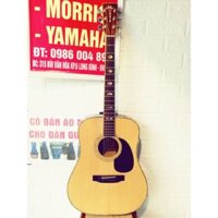 Bán Đàn Guitar Morris W60 ở Biên Hoà