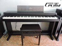 Bán đàn Yamaha Clavinova CLP-550 | Piano Hà Thành