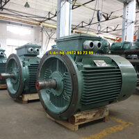 BÁN Động cơ Việt Hung 250kW | Motor VIHEM Việt Hung 250kW
