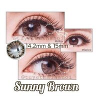 [Bán Giá Gốc] Lens Nâu Sunny Brown 14.2mm - Kính Áp Tròng Hàn Quốc