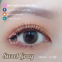 [Bán giá gốc] Lens Sweet Gray