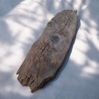 Bàn Gỗ Lũa Tự Nhiên – Phôi Gỗ Lũa Trang Trí Nghệ Thuật, Tiểu Cảnh, Bonsai