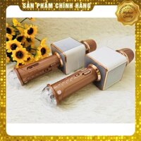 ban Hot- Micro karaoke không dây SD-09L có đèn led Sale siêu  rẻ