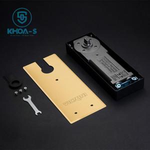 Bản lề sàn VICKINI 60840.002 PSS