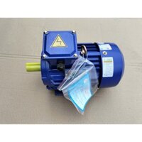 Bán motor điện 3 pha 380v Toàn Phát 1,5kw vòng tua 1400v/p giá rẻ