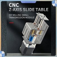Bán nóng CNC Z Trục Trượt Bộ Bàn 100mm Thì DIY Bạc Ổn Định Nhỏ Truyền Dẫn Tuyến Tính Giai Đoạn Thiết Bị Động 12V