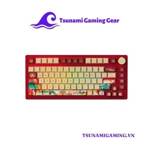 Bàn phím Akko PC75B Plus Year of Tiger