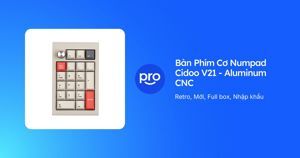 Bàn phím cơ Cidoo V21 Tri-mode