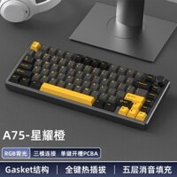 Bàn phím cơ giá rẻ Monka A75 | Case nhôm CNC | Led RGB | Không dây 3 Modes | Mạch xuôi | Hotswap | Hỗ trợ top mount
