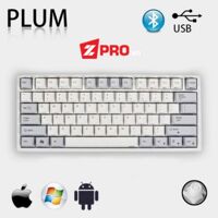 Bàn phím cơ NIZ Plum 75 Pro